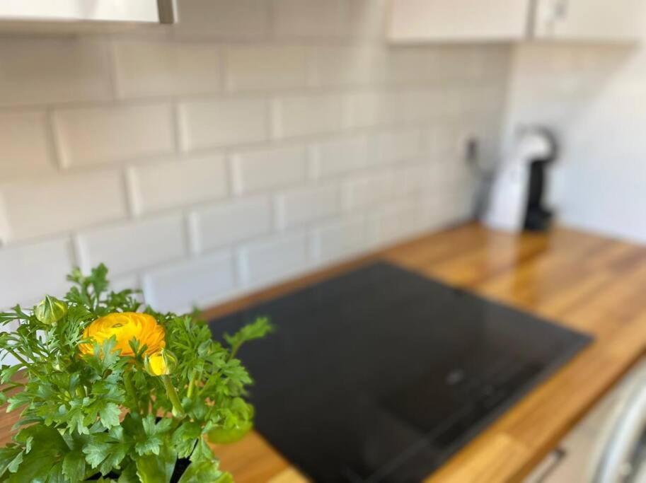 Apartamento Centrico-Parking Gratuito-Wifi Сантандер Экстерьер фото